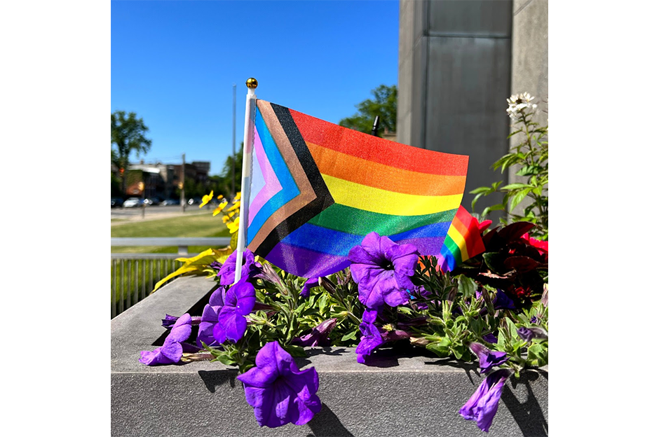 pride flag and purple flowers in planter outside of munson museum