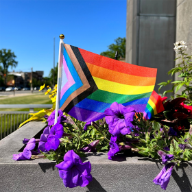 pride flag and purple flowers in planter outside of munson museum